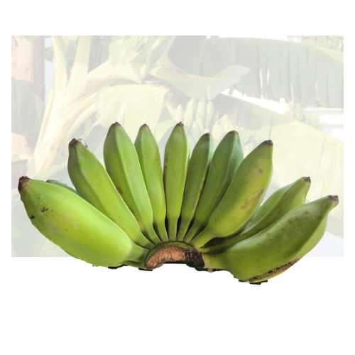 Thai Banana