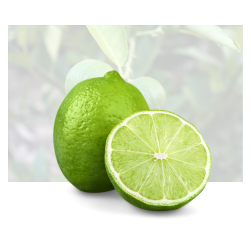 Lime