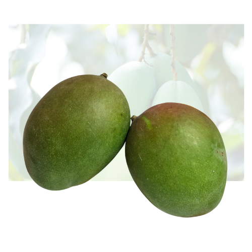 Green Mango