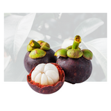 Mangosteen