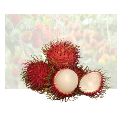 Rambutan