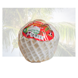 Young Coconut Vietnam