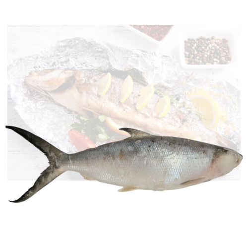 Frozen Milk Fish