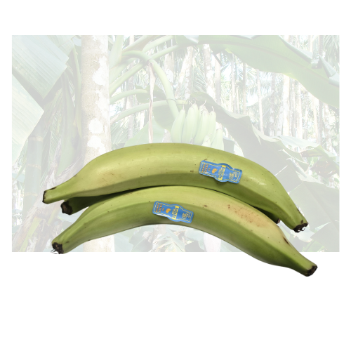 Green Plantain