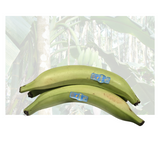 Green Plantain