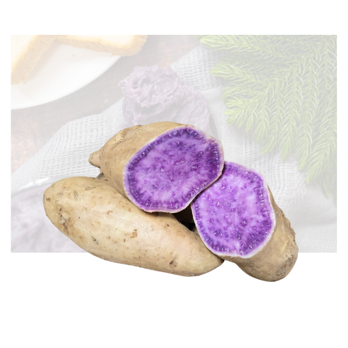 Hawaii Yam