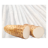Chinese Yam (Nagaimo)