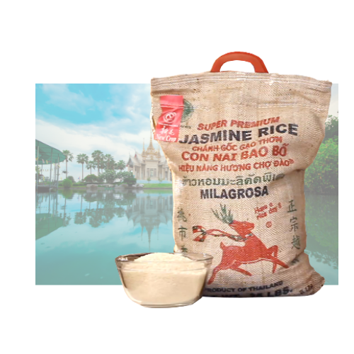 [Deer Brand] Jasmine Rice