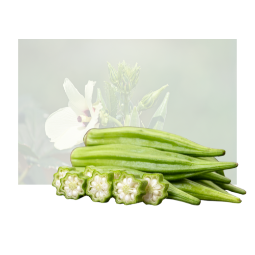 Baby Okra