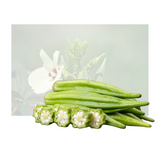 Baby Okra