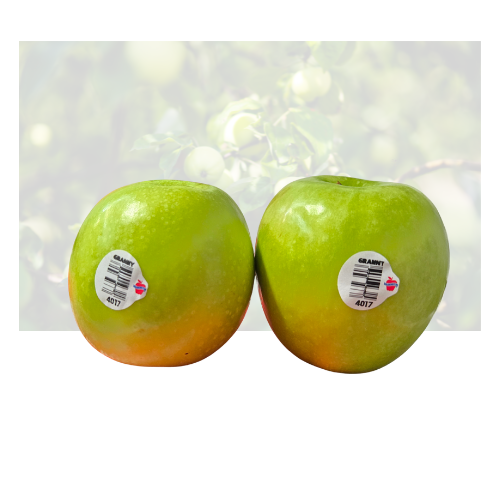 Granny Smith Apple Xtra Fancy