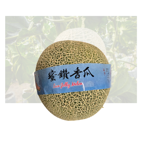 Diamond Melon