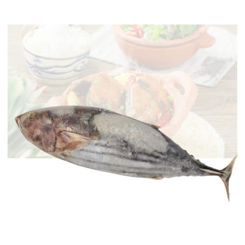 Long Tail Tuna Fish (Bonita Fish)