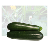 Zuchini