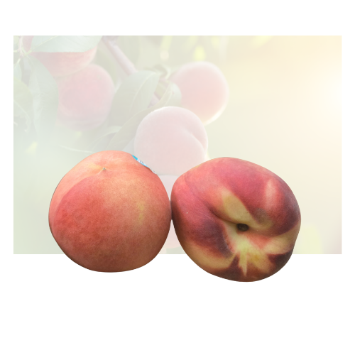 Snow White Peach