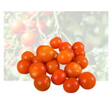 Cherry Tomatoes