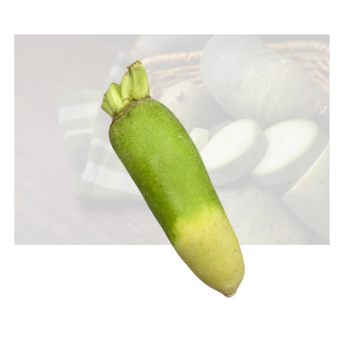 Green Daikon