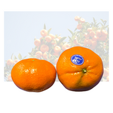Murcott Mandarine