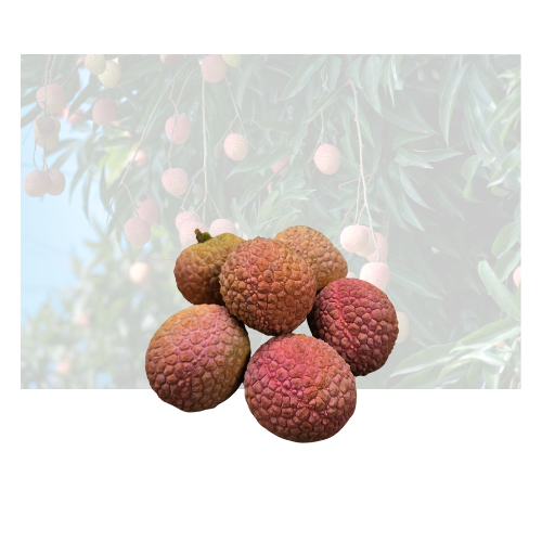 Lychee