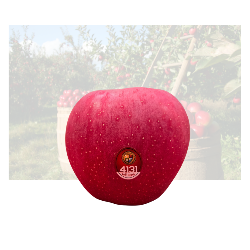 Rose Red Apple