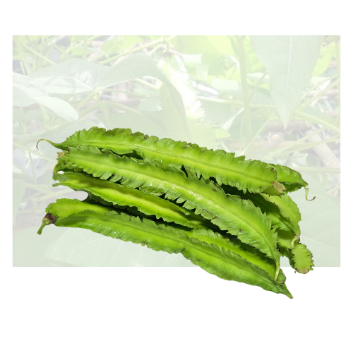 Wing Bean