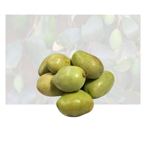 Honey Long Jujube
