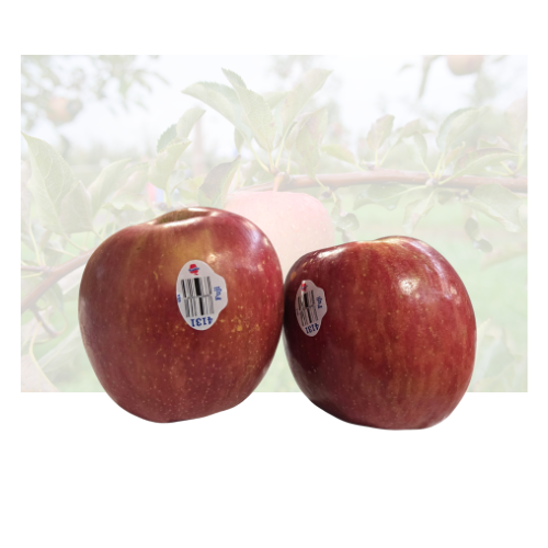Fuji Apple