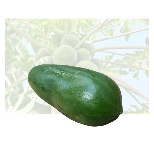 Green Papaya