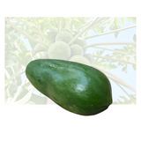 Green Papaya