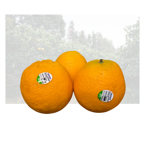 Orange Navel