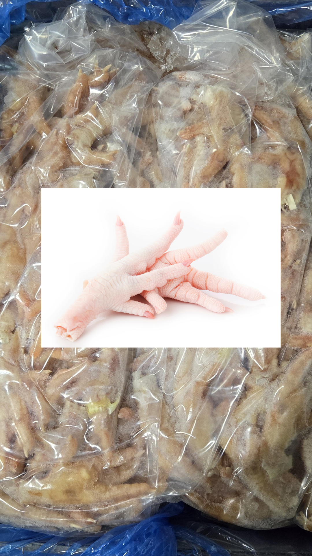 [Frozen Meat PT] Chicken Paw