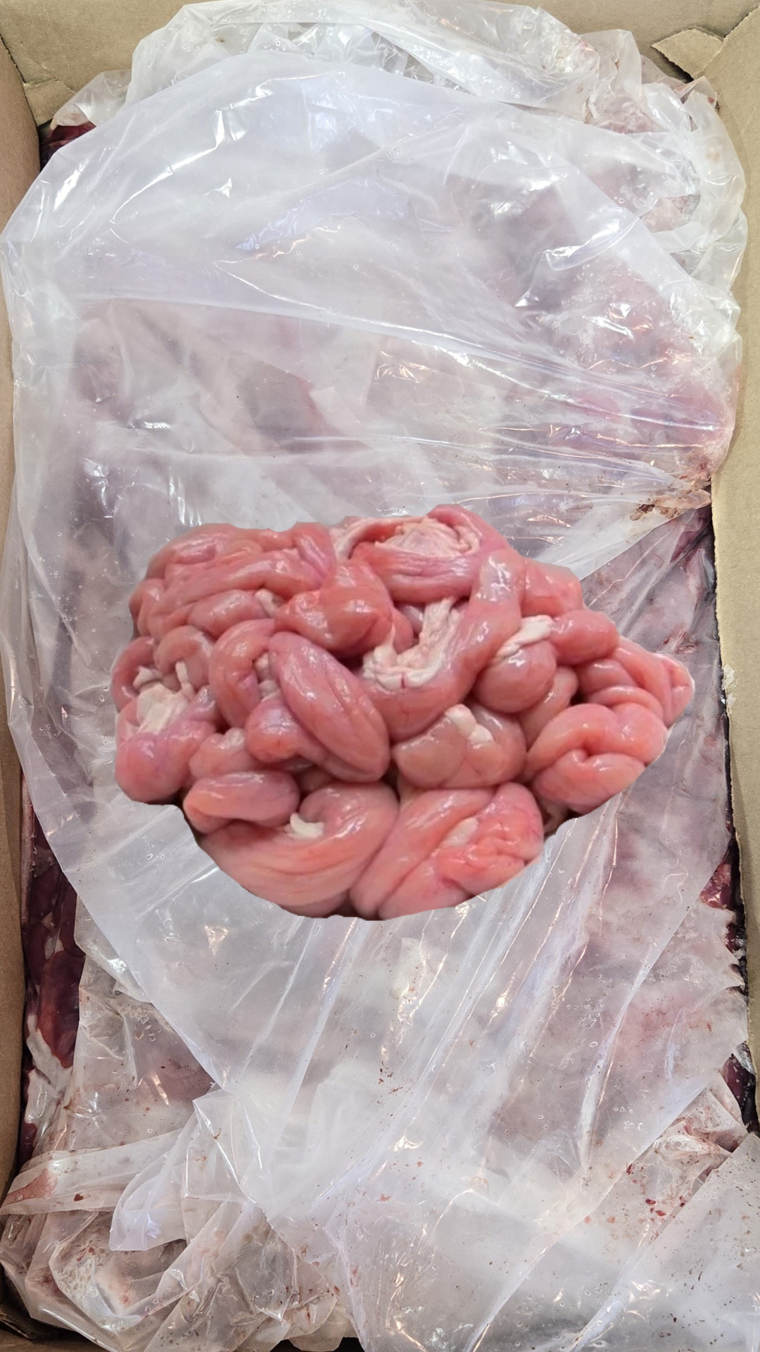 [Frozen Meat] Pork End Gut