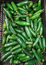 Green Jalapeno