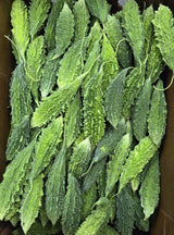 Indian Bitter Melon