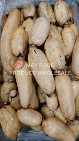 Lotus Root