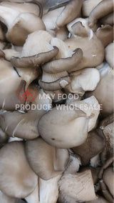 Oyster Mushroom