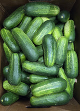 Pickle