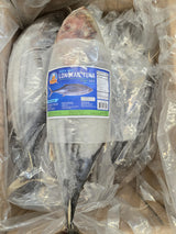 Long Tail Tuna Fish (Bonita Fish)