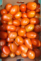Roma Tomato