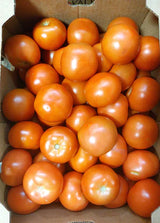 Round Tomato
