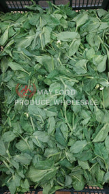 Snow Pea Leaf