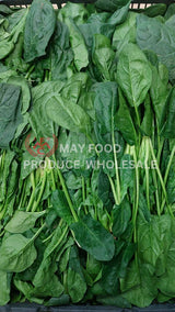 Taiwan Spinach