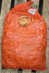 Yellow Tumeric